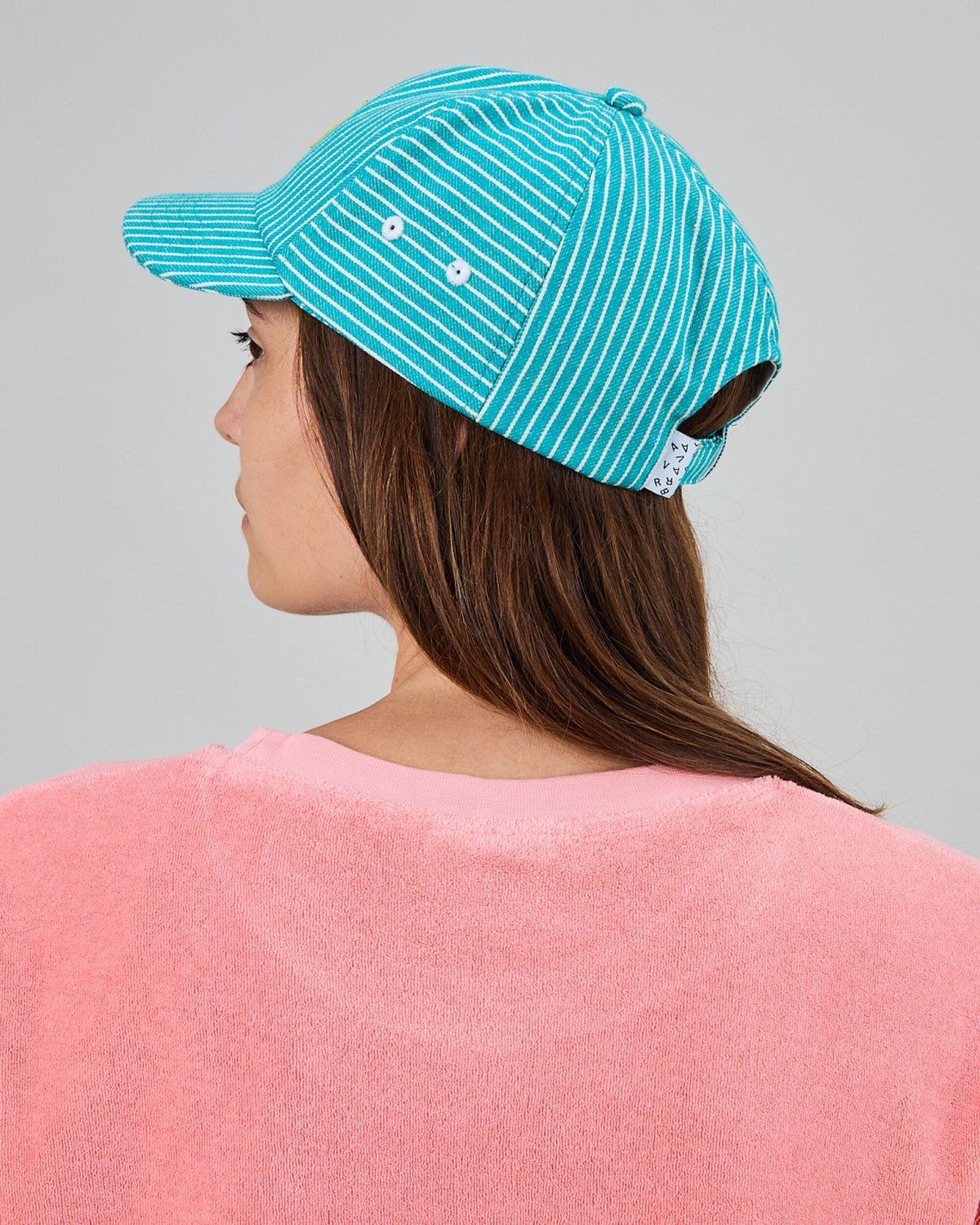 Denim Stripes Pixel Dolphin cap
